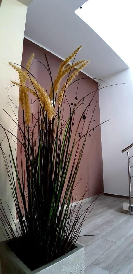 B&B Filieri Santa Maria al Bagno Exterior photo